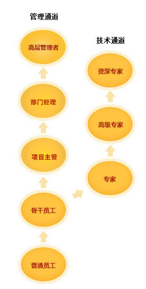 mansion88明升员工成长通道