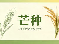 今日芒种｜暴雨+高温，安全勿松懈